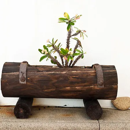 Affittacamere El Hotelito Del Golfo El Golfo