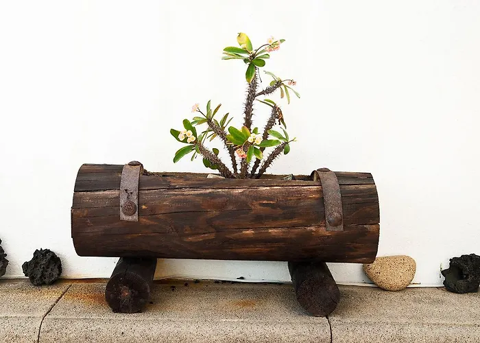 Pensión El Hotelito Del Golfo El Golfo